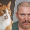 “Kattenseriemoordenaar” op de vlucht in Californië: “Ernstig gevaar voor de samenleving”