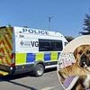 Police found 20 dogs alive when they raided rescue centre and found 37 animals dead as man faces cruelty charge