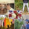 Seven bizarre property laws you might have broken without realising