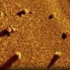 Groundbreaking discovery at 'underwater Stonehenge' in Lake Michigan rewrites human history