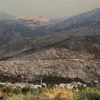 2 volunteers die fighting Turkey wildfires, raising deaths to 17 since late June