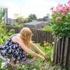 ‘Wie kale plekken in zijn gazon heeft, kan straks zijn kans grijpen’: zo maakt u uw tuin klaar voor de herfst