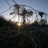 Falls der Donbass an Putin fällt: „Russland könnte ungehindert Richtung Westen vorstoßen“
