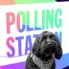 Anger and indifference collide in unpredictable local elections
