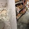 Ook in Mechelen klagen magistraten erbarmelijke staat van gerechtshof aan: “Schimmel, muizen en verval... Probeer zo maar eens te werken”
