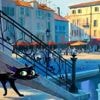 Pixar kondigt nieuwe animatiefilm Gatto aan