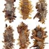 Zeldzame rups misleidt spinnen met lugubere camouflage van dode insecten