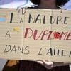 Censure de la loi Duplomb : pourquoi la décision du Conseil constitutionnel constitue une consécration pour la Charte de l'environnement