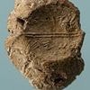 Mysterious fingerprint found on 2,600-year-old seal linked to Biblical doomsday warning
