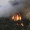 Israel declares state of emergency with 'largest ever' wildfires raging out of control towards Jerusalem - amid fury over posts celebrating devastating fires