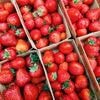 Landwirtschaft: Mini-Ernten bei Erdbeeren und Spargel