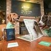 Britain's most dog-friendly pub revealed - with dedicated menu and secure garden with beds and blankets