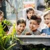 7 Familientipps fürs Himmelfahrt-Kindertag-Wochenende:: Bloß nicht langweilen!