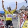 Tour de France 2025. La domination de Tadej Pogacar vous écoeure-t-elle du vélo ?