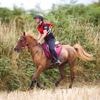 Équitation. « Je ne m’y attendais pas » : Yanice Zimmermann, championne de France d’endurance