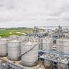 Britain's biggest bioethanol producer could close after UK-US trade deal
