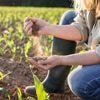 Europese Centrale Bank waarschuwt voor gevolgen van droogte: “Tot 15 procent van productie bedreigd”