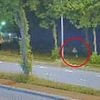 Revealed: Girl, 17, stabbed to death by migrant in Netherlands was highly intelligent, middle-class student - as detectives admit they DON'T KNOW the identity of the suspect they have in custody