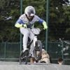 BMX. Un Tourangeau en haut de l’affiche à Quévert