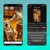 TikTok kann mit KI aus vorgegebenen Bildern kurze Videos erstellen