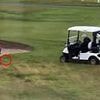 Footage of Donald Trump 'cheating' on the golf course goes viral