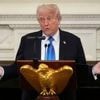 Lage im Überblick: Trump kündigt Ukraine-Gespräch an - ohne Druck auf Putin?
