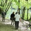 Marche, jardinage, vélo… Les bénéfices des activités en plein air sur la santé mentale