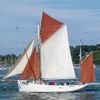 REPORTAGE. À bord du bateau « Biche » pour suivre la Grande parade de la Semaine du Golfe 2025
