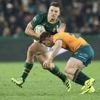 Rugby Championship. L’Australie renverse une Afrique du Sud décevante