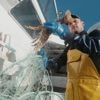 « On est tous dans la pêche à la langouste » : en Bretagne, ce crustacé de luxe fait son grand retour