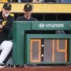 Fan falls from 21-foot Clemente Wall at PNC Park in Pittsburgh during Cubs-Pirates game