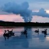 IW-Umfrage zu Gesetzesplänen: Deutsche sehen CO2-Speicherung positiv