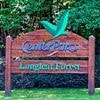 The truth about what it's like to work at Center Parcs: Ex-employees reveal what guests don't see at popular UK holiday parks