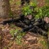 Bundeswehr: Vom Altenheim zum Reservisten: Ex-Zivis melden sich zum Bund