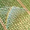 More than 150 farms in England caught using local water illegally