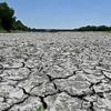 CARTES. Sécheresse et restrictions d’eau : quelle est la situation en France en cette mi-juillet ?