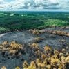 Un homme placé en détention provisoire après plusieurs incendies, dont celui de Brocéliande