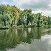 “Checken - reinigen - drogen”: campagne tegen verspreiding invasieve soorten in onze binnenwateren