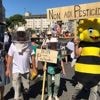 Loi Duplomb. « Ni les agriculteurs, ni les Français ne demandent plus de pesticides »