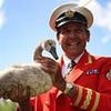 Swans are back on the Thames! Numbers of beloved Royal birds shoot up after worrying dip