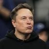 Tech-Milliardär: Zaun zu hoch: Musk hat Streit mit Nachbarn in Texas