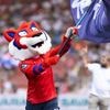 Regionalligist selbst überrascht: Kurs der Unterhaching-Aktie explodiert