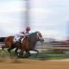 Journalism comes from behind to win the Preakness