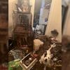 Amerikaanse politie treft ‘gruwelijke taferelen’ aan in huis met baby: tientallen dieren en uitwerpselen