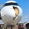 Terrifying pictures show huge damage to front of Airbus which was hit by a bird strike after taking off from Spanish airport