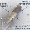 20 einzelne Sprengsätze: Israel: Iran setzte Rakete mit Streumunition bei Angriff ein