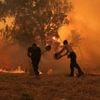 En pleine canicule, la Grèce frappée par de multiples incendies