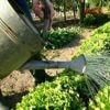 Facile à entretenir, peu coûteux… Voici des conseils de pros pour vous essayer au jardin sauvage
