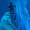 Terrifying moment beluga whale bites divers in front of screaming tourists at aquarium