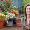 Hoeveel meststoffen hebben je bloeiende potplanten echt nodig? Tuinexperte deelt 5 tips